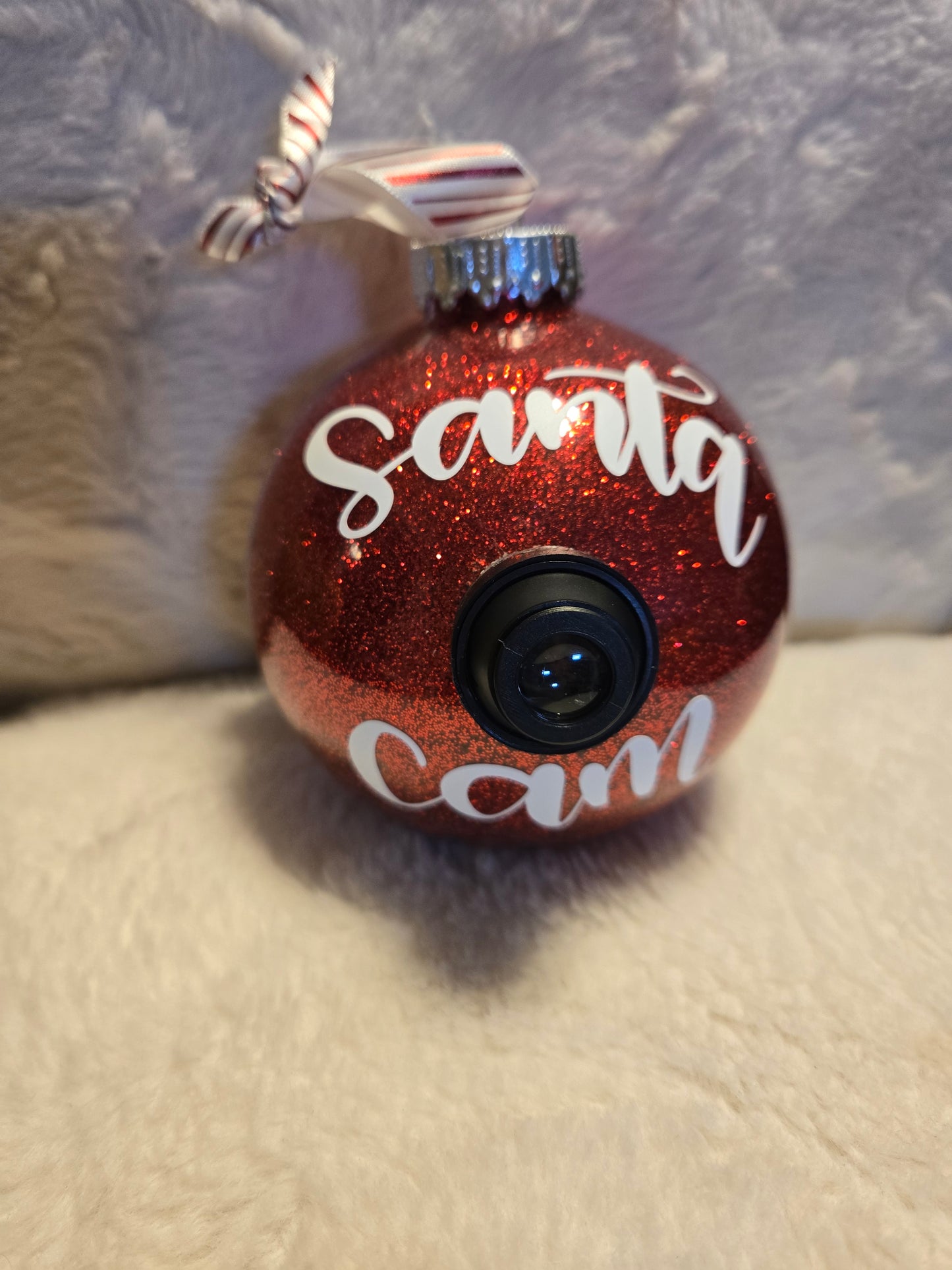Realistic Santa Cam