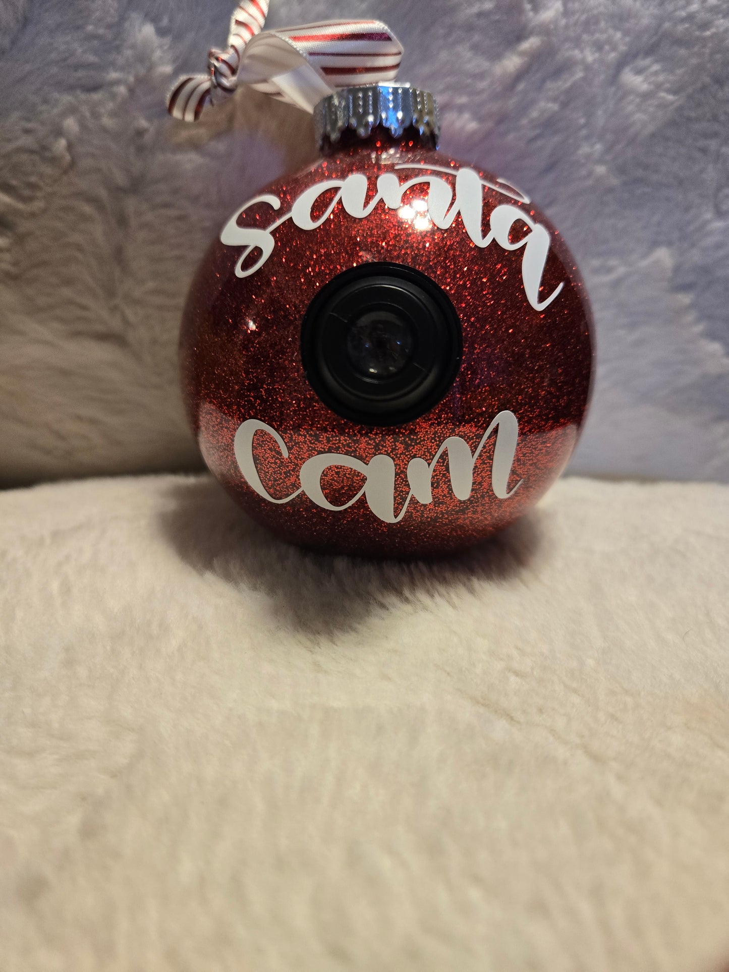 Realistic Santa Cam
