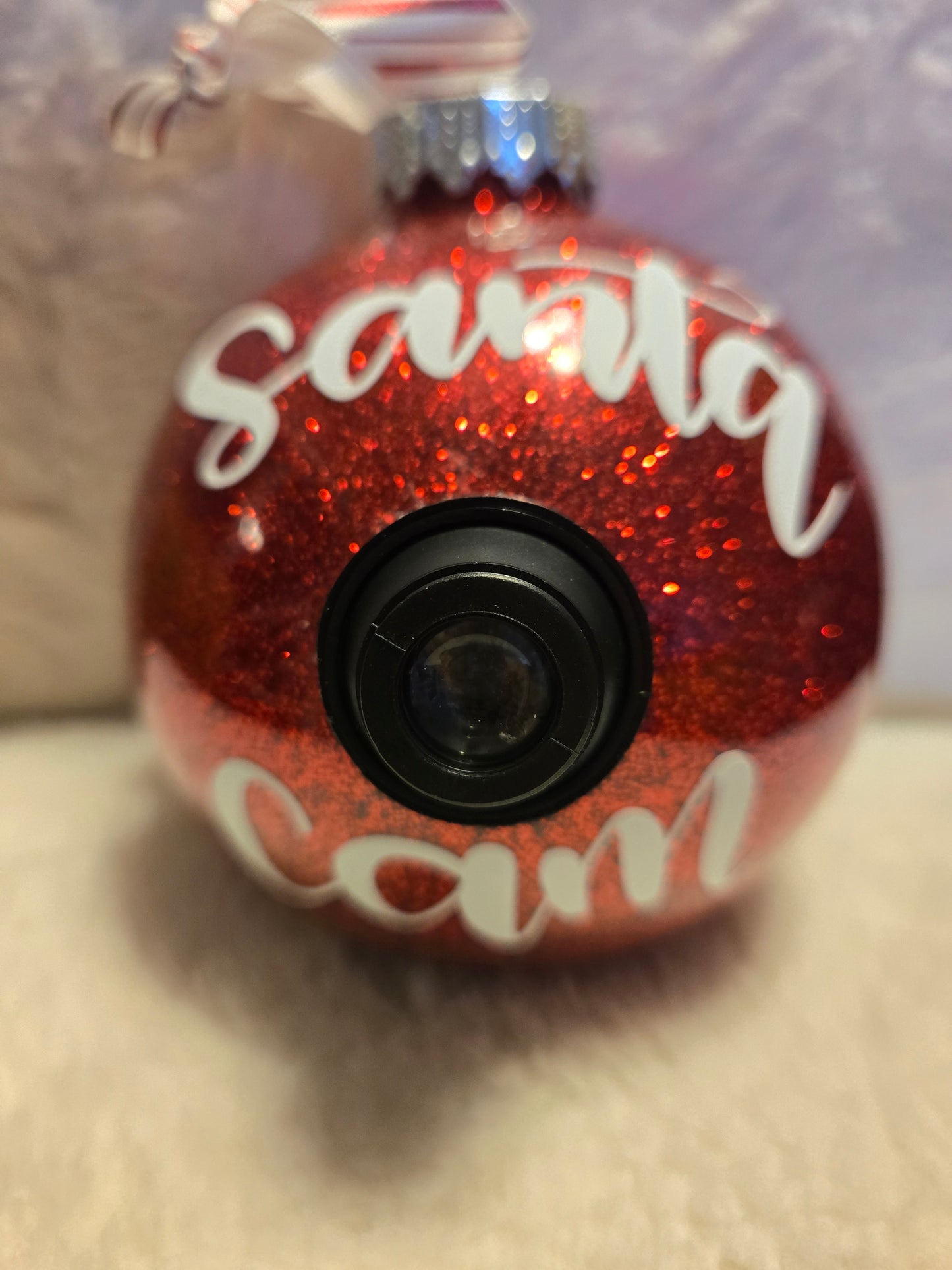 Realistic Santa Cam